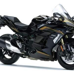 NINJA H2 SX