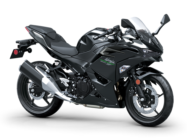 NINJA 500 (2024)